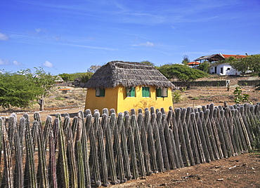 Typical house with cactus fence, Kralendijk, Bonaire, Netherlands Antilles, Caribbean, Central America