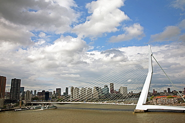 The Erasmus Bridge (The Swan) across the New Meuse River, Rotterdam, Netherlands, Europe