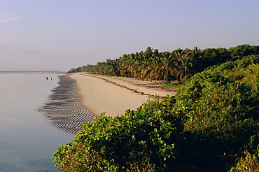 Tiwi Beach, Kenya, East Africa, Africa