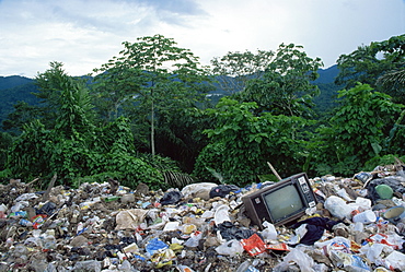 Rubbish dump in rainforest, Northern Range, Trinidad, West Indies, Central America