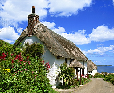 Thatched cottage on a village street in Cornwall, England, United Kingdom, Europe