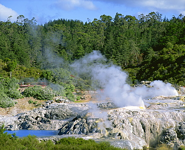 Steam rising in the Whakarewarewa Thermal Reserve in Rotorua, South Auckland, North Island, New Zealand, Pacific