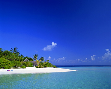 A tropical beach with palm trees and thatched huts in the Maldive Islands, Indian Ocean, Asia