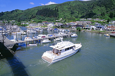 Yacht entering Picton Marina, Picton, Marlborough, South Island, New Zealand, Pacific