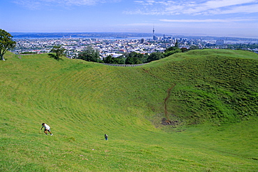 Crater of Mount Eden with city beyond, Auckland, Central Auckland, North Island, New Zealand, Pacific