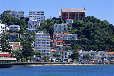 Wellington, North Island, New Zealand, Pacific