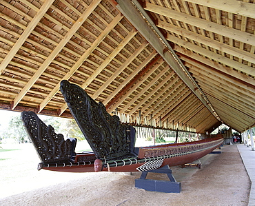 War canoe (Ngatokimatawhaorua in Maori language), 35m long, 80 rowers, Canoe House, Waitangi National Reserve, Waitangi, Bay of Islands, Northland, North Island, New Zealand, Pacific