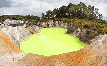 The Devil's Bath, Hot Springs, Waiotapu Geothermal Wonderland, Rotorua, New Zealand, Oceania