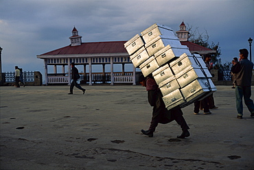 Porter under a heavy load, Shimla, Himachal Pradesh, India, Asia