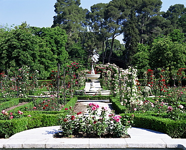 Rose Garden, Parque del Retiro, Madrid, Spain, Europe