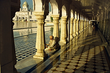 Sikh elder at prayer at the Golden Temple of Amritsar, Punjab State, India, Asia