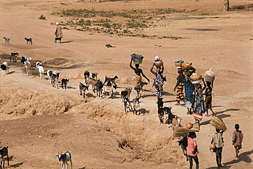 Women on their way to washplace in the River Niger, Mali, Africa