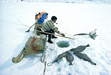 Inuit man fishing for halibut, eastern area, Greenland, Polar Regions