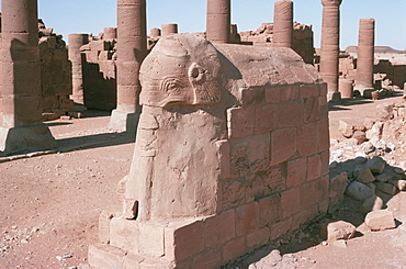 Elephant carving, Central Temple, Musawwarat Es Sofra, Sudan, Africa