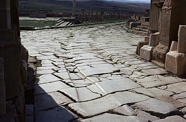 Chariot wheel ruts by the West Gate, Roman site of Timgad, UNESCO World Heritage Site, Algeria, North Africa, Africa