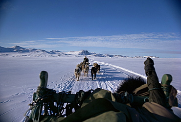 Dog transport, Greenland, Polar Regions