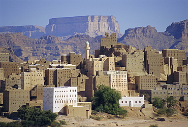 Multi-storey mud brick houses, Habban, Lower Hadramaut, Yemen, Middle East