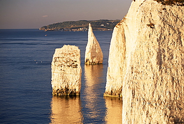 Early morning light on the Pinnacles, Handfast Point, Studland, Dorset, England, United Kingdom, Europe