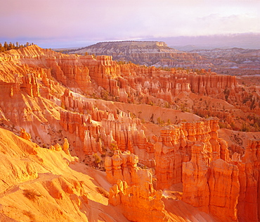 Sunrise, the Queen's Garden from Sunset Point, Bryce Canyon National Park, Utah, USA