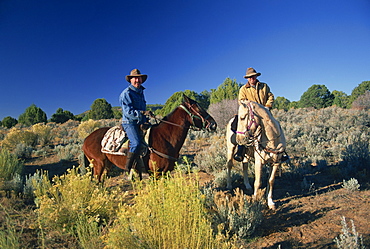 Two cowboys on horseback near Kanab, Utah, United States of America, North America