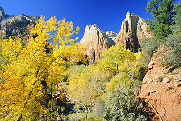 Autumn colours in the Court of the Patriarchs, Zion National Park, Utah, USA