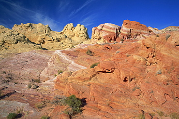 Multi coloured sandstone rock formations in the Valley of Fire State Park, Nevada, United States of America, North America