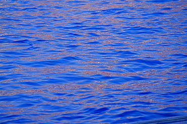 Ripples in water reflecting light and blue sky, San Diego, California, U.S.A., North America