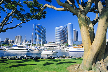 Embarcadero Marina, San Diego, California, USA