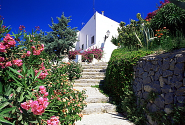 Flower bordered flight of steps in the old town, Altea, Alicante, Valencia, Spain, Europe