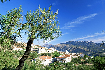 View to village from hillside, Benimantell, Alicante area, Valencia, Spain, Europe