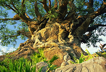 The Tree of Life, Animal Kingdom, Disneyworld, Orlando, Florida, United States of America, North America