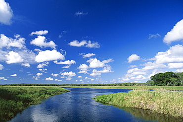 View from riverbank of white clouds and blue sky, Myakka River State Park, near Sarasota, Florida, United States of America (U.S.A.), North America