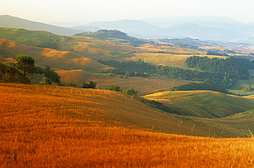 View across agricultural landscape at sunrise, Volterra, Tuscany, Italy, Europe