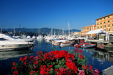 View across the harbour, Santa Margherita Ligure, Portofino Peninsula, Liguria, Italy, Europe