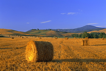 Bales of hay at sunrise, near San Quirico d'Orcia, Tuscany, Italy, Europe