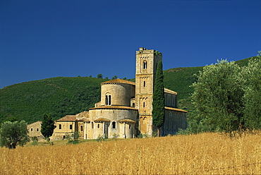 View across field to the abbey of Santo Antimo, near Montalcino, Tuscany, Italy, Europe