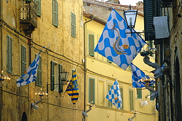 Flags of the Onda (Wave) contrada in the Via Giovanni Dupre, Siena, Tuscany, Italy, Europe