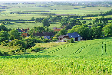 Village of Milton Street, in the South Downs, East Sussex, England, UK, Europe