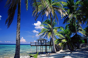 Waterside restaurant beneath palms, Old Man Bay, Grand Cayman, Cayman Islands, West Indies, Caribbean, Central America