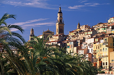 The Old Town, with palm trees in foreground, Menton, Alpes Maritimes, Cote d'Azur, French Riviera, Provence, France, Europe