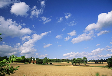 Rural landscape with oasthouses, Ightham near Sevenoaks, Kent, England, UK 