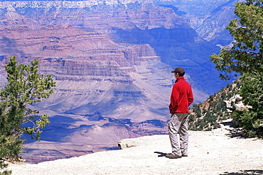 Tourist admiring the view from the South Rim, near Yavapai Point, Grand Canyon National Park, UNESCO World Heritage Site, Arizona, United States of America (U.S.A.), North America