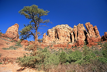 Towering red sandstone cliffs viewed from the Broken Arrow Trail, Sedona, Arizona, United States of America (U.S.A.), North America