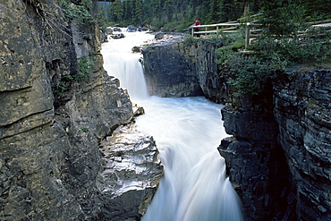 The fast-flowing Tokumm Creek swollen by summer snowmelt, Marble Canyon, Kootenay National Park, UNESCO World Heritage Site, British Columbia (B.C.), Canada, North America