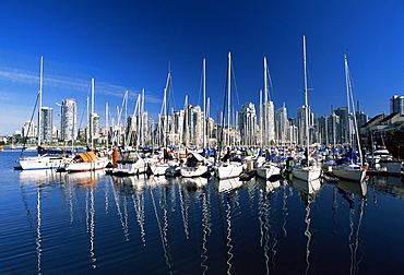 Yachts moored in False Creek marina, with downtown skyscrapers behind, Vancouver, British Columbia (B.C.), Canada, North America