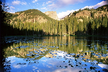 View across Nymph Lake at sunrise, with Hallett Peak above the trees, Rocky Mountain National Park, Colorado, United States of America, North America