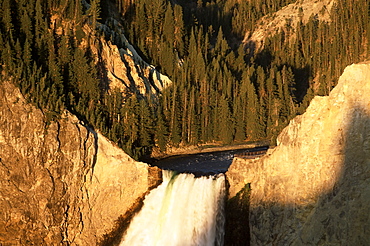 Top of the Lower Falls from Lookout Point at sunrise, Grand Canyon of the Yellowstone, Yellowstone National Park, UNESCO World Heritage Site, Wyoming, United States of America, North America