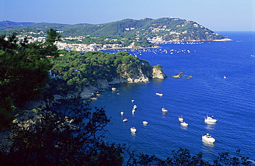 View to the north along the coast from Cap Roig Botanical Gardens, Calella de Palafrugell, Costa Brava, Gerona, Cataluna, Spain, Europe