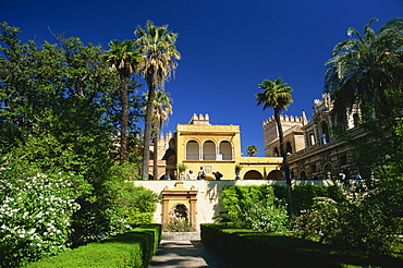 The gardens of the Reales Alcazares, Seville, Andalucia (Andalusia), Spain, Europe