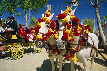 Pair of horses decorated with colourful headgear, Feria de Abril (April Fair), Seville, Andalucia (Andalusia), Spain, Europe